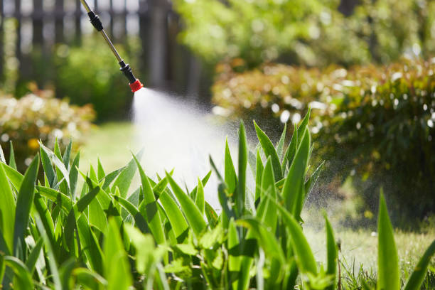 Tamper-Resistant Bait Stations for Rodents in Rosamond