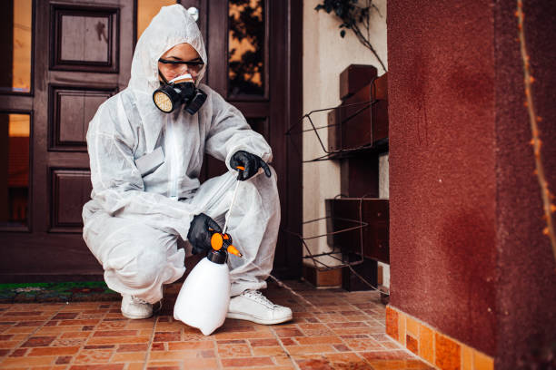 Attic and Crawl Space Rodent Treatment in Rosamond